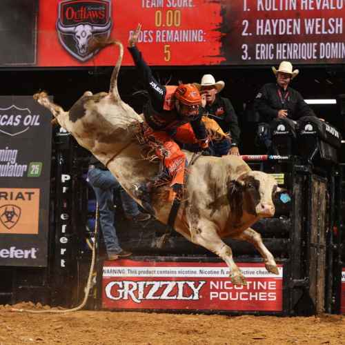 PBR Stampede Days 2026