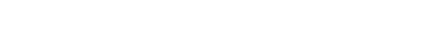 Eric Henrique Domingos